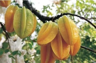 1649857074642275.png 图片