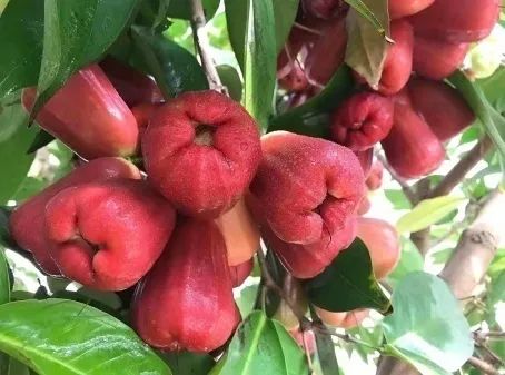 1649857054931722.png 图片