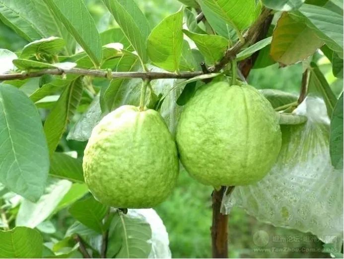 1649857210743503.png 图片