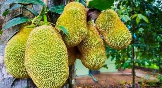 1649857182405330.png 图片