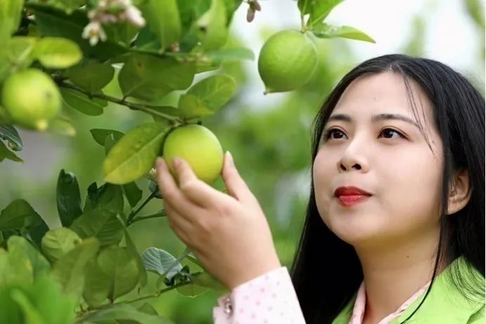 1649857409158851.png 图片