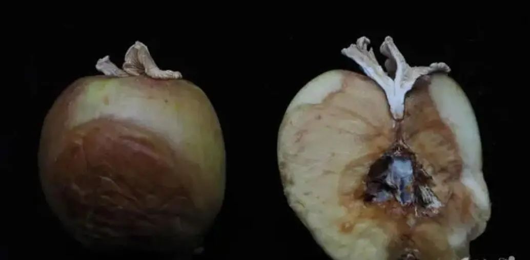 1720838159859503.jpg 图片